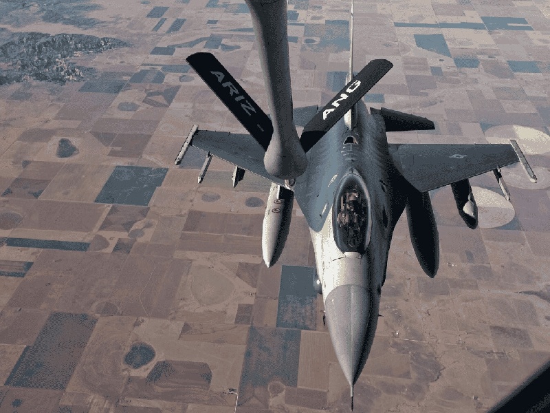 李先生夫妇成功案例